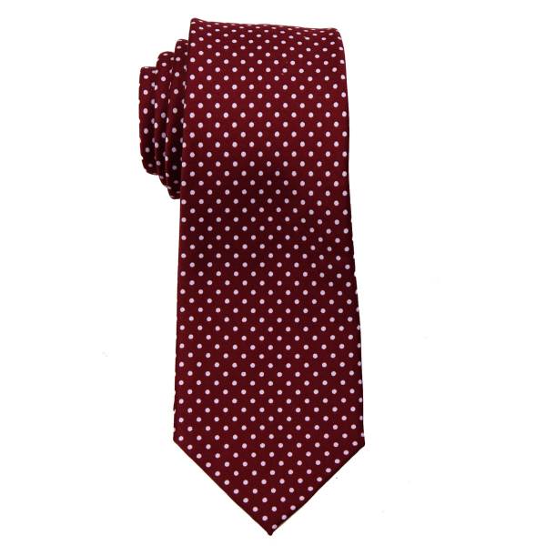 Boys Dot Tie Ties