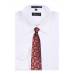 Burgundy Paisley Men's Tie Regular