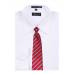 Burgundy Stripe Men's Tie Regular