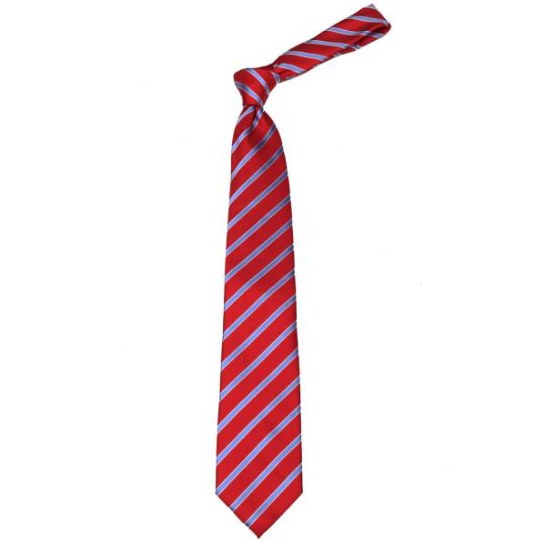 Burgundy Stripe Men's Tie Regular