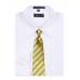 Gold Stripe XL Men's Tie Ties