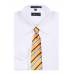 Gold Stripe XL Men's Tie Ties