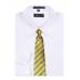 Gold Stripe Men's XL Zipper Tie Zipper Ties