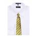 Gold Stripe Men's Zipper Tie Regular Length Zipper Tie