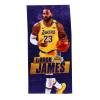 Licensed Lebron James NBA Beach Towel Beach Towels